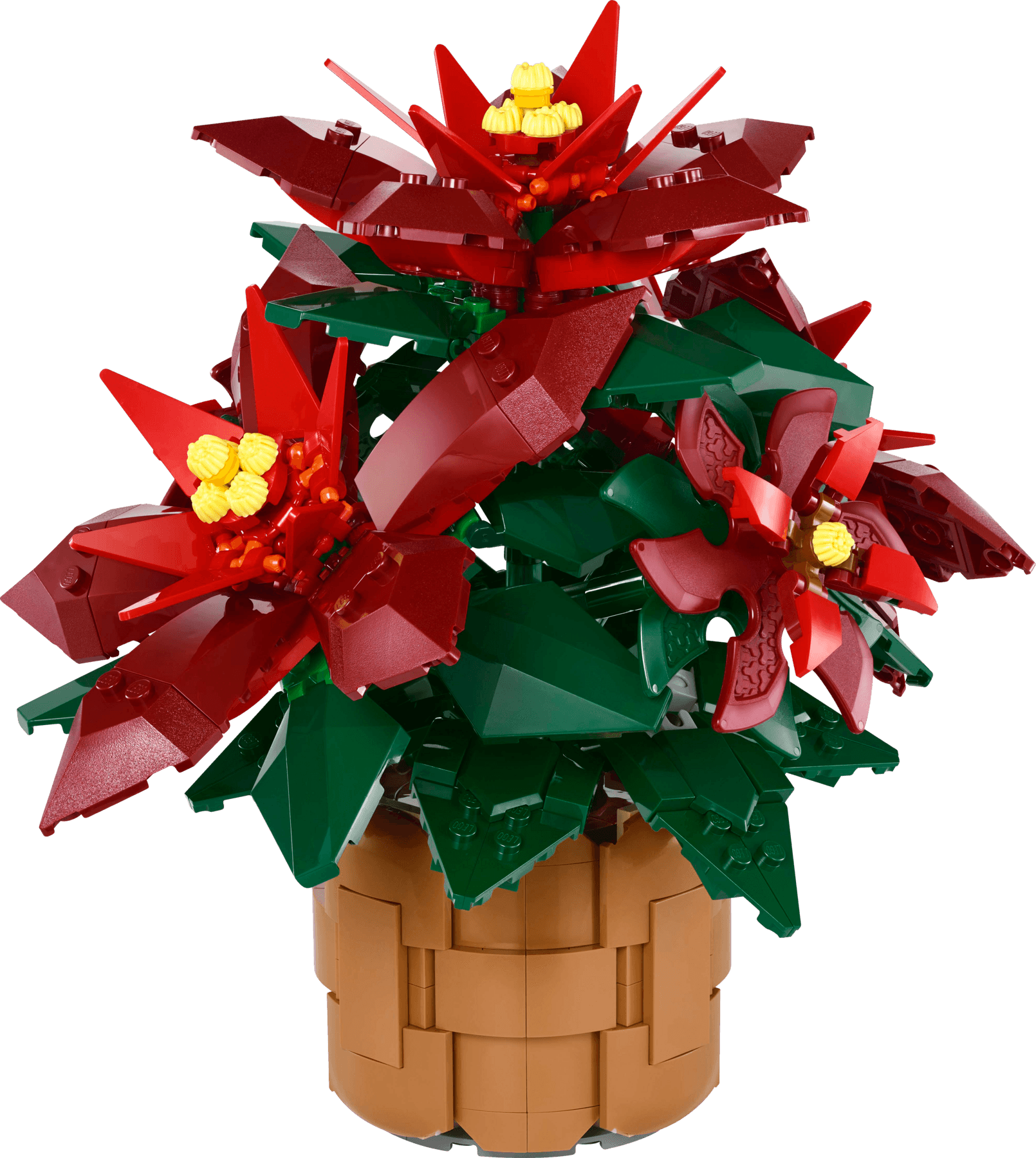 LEGO Botanicals