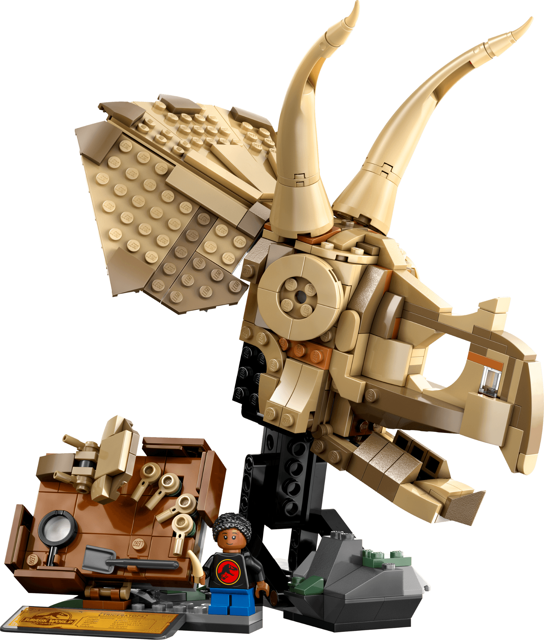LEGO Dinosaur Fossils: Triceratops Skull