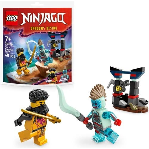 LEGO Arin vs. Dragonian Battle