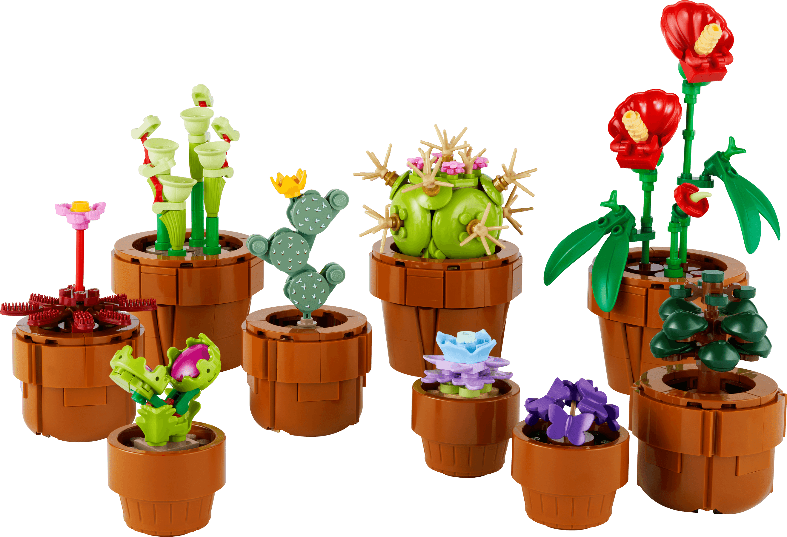 LEGO Botanical Collection Plantinhas, set 10329