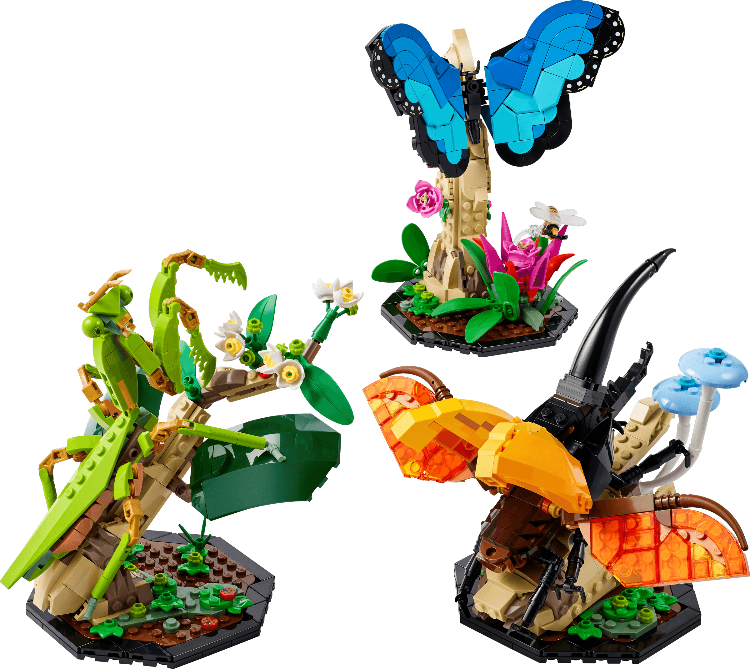 LEGO The Insect Collection, set 21342