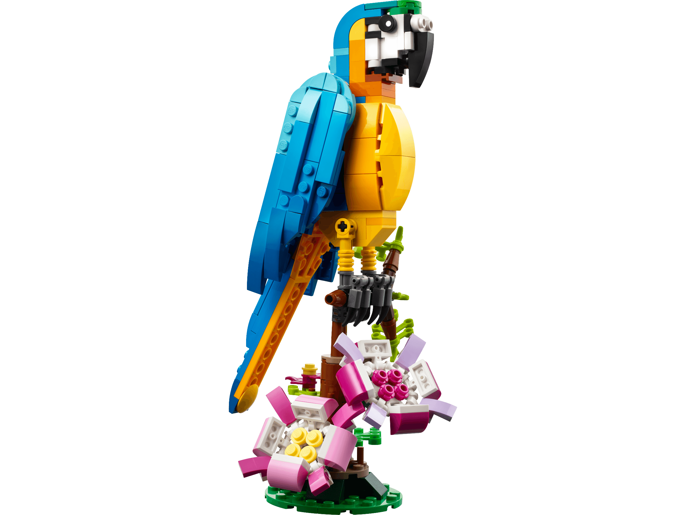LEGO Exotic Parrot, set 31136