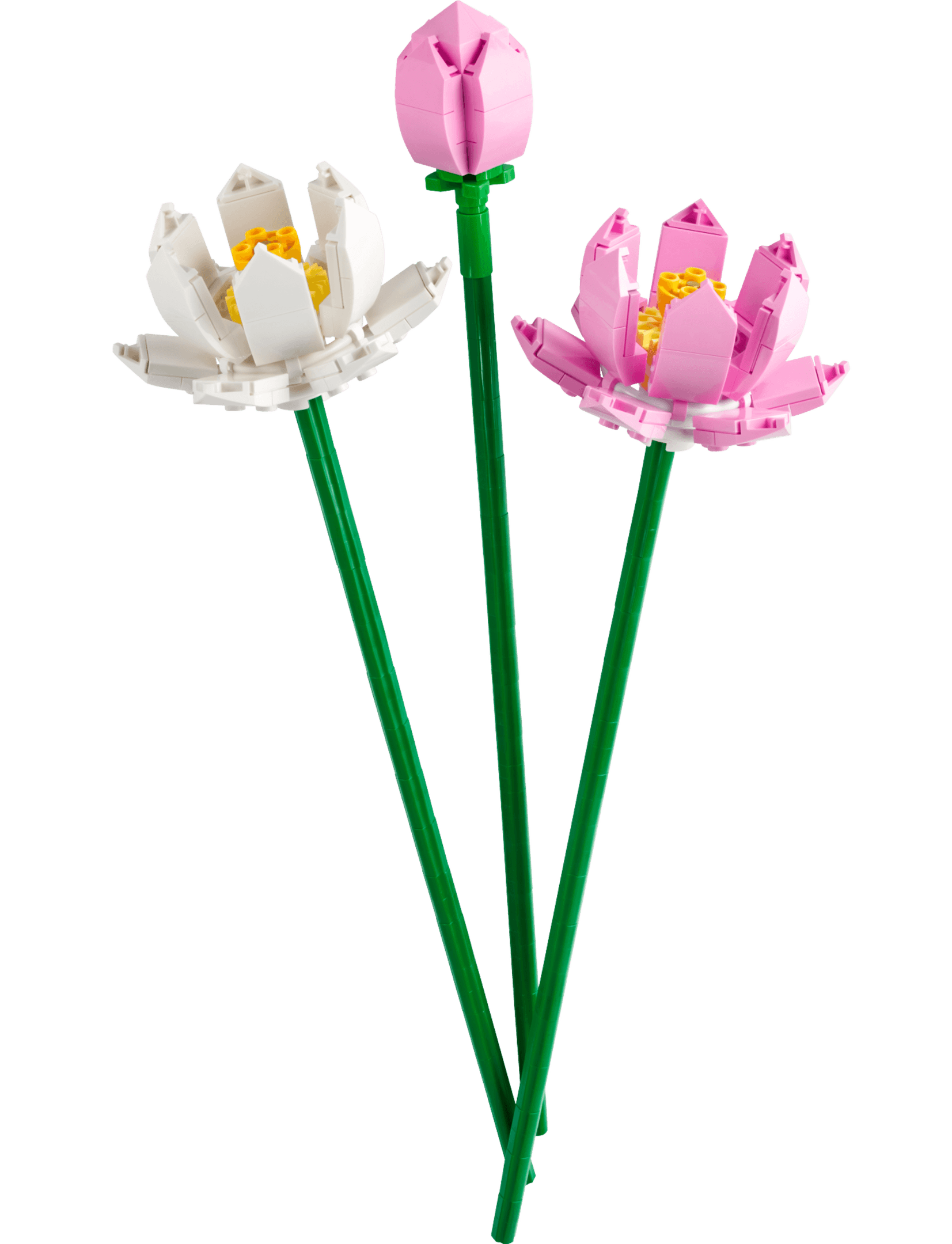 LEGO Lotus Flowers, set 40647
