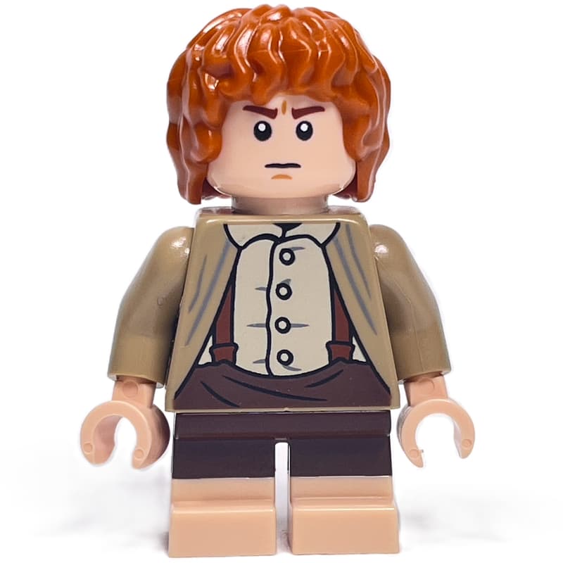 Samwise Gamgee